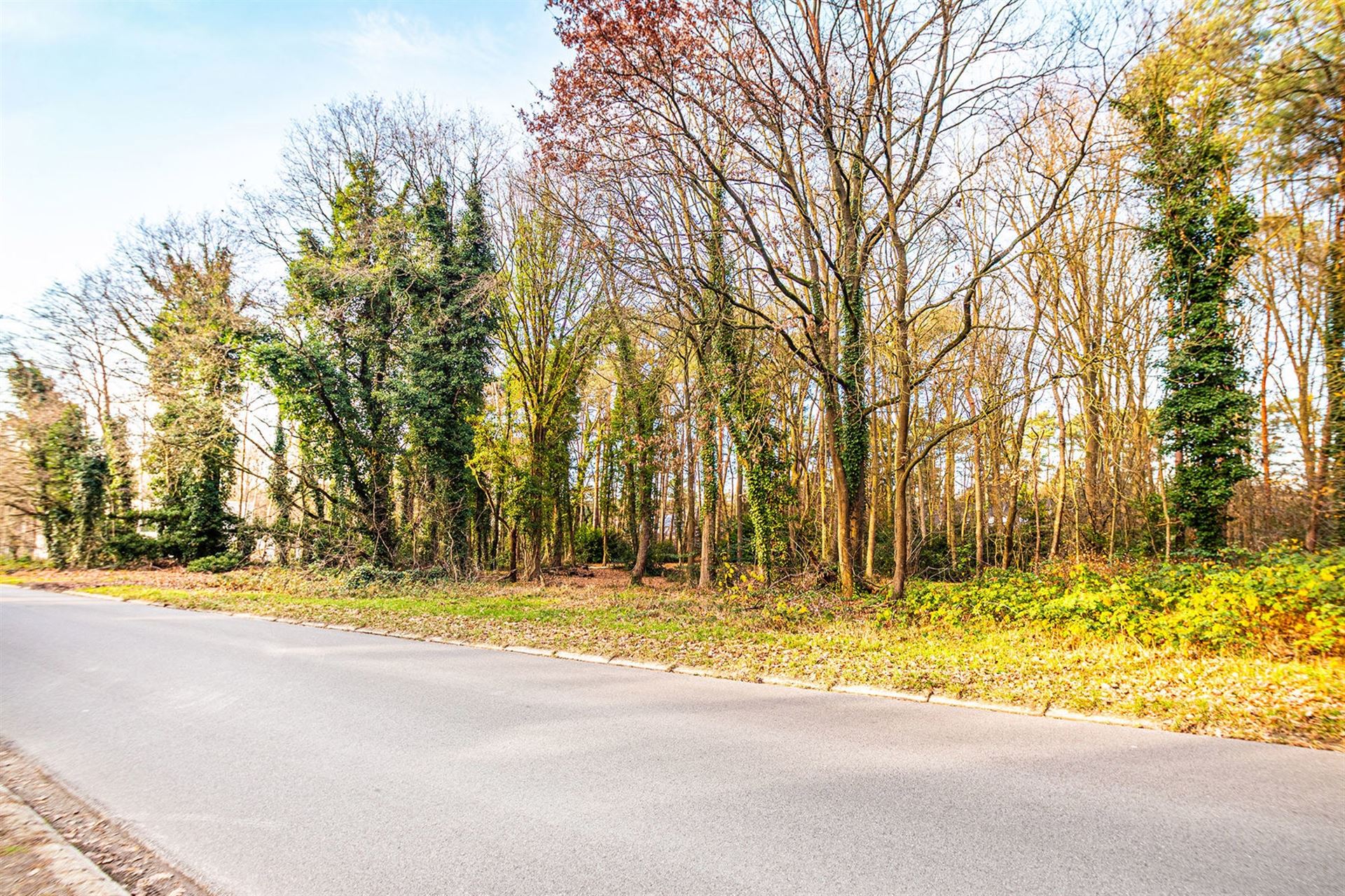 Exclusieve bouwgrond van 4.370 m² in “Golf & Meer”-domein - foto 5