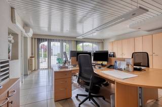 Gelegen op een strategische locatie langs de drukke Hasseltsesteenweg 306, één van de belangrijkste invalswegen van Sint-Truiden, vinden we dit uitzonderlijk ruime handelspand met tal van mogelijkheden. De zichtbaarheid en bereikbaarheid zijn hier absolute troeven: dagelijks passeren honderden voertuigen voor de deur, wat zorgt voor maximale commerciële exposure.<br /><br />Voor het gebouw bevindt zich een ruime parking met plaats voor meer dan 10 wagens, een niet te onderschatten pluspunt in deze tijden waarin bereikbaarheid en parkeergelegenheid doorslaggevend zijn voor elk succesvol bedrijf. Ook voor personeel of bijkomende voertuigen is er meer dan voldoende plaats op het terrein van maar liefst 25 are, met extra parkeergelegenheid aan de achterzijde.<br /><br />Het gelijkvloers is momenteel volledig ingericht als kantoor/handelshuis met een oppervlakte van ruim 200 m², verdeeld over meerdere bureauruimtes, vergaderzalen en keukens. De indeling laat zich echter makkelijk aanpassen aan verschillende commerciële invullingen: praktijk, kantoor, showroom, winkelruimte, was oorspronkelijk frituur met eetzaal of dienstverlenend beroep.<br />Op de eerste verdieping bevindt zich een ruim appartement van 114 m² met drie slaapkamers. Dit maakt het pand uitermate geschikt voor wie wonen en werken wil combineren. Anderzijds biedt het appartement ook potentieel als bijkomende kantoorruimte, co-working plek of woonst.<br />Als extra troef is het volledige pand onderkelderd en dat met een opmerkelijke plafondhoogte. De kelder van maar liefst 200 m² leent zich tot stockage, archiefruimte, autostalling, atelier of zelfs creatieve hobbyruimte.<br /><br />Naast de commerciële mogelijkheden biedt dit pand ook de kans om het volledig te transformeren tot een exclusieve villa op een royaal perceel. Dankzij de bestaande volumes en de ruime indeling kan hier een luxueuze gezinswoning ontstaan met meerdere slaapkamers, leefruimtes, wellness of thuiskantoor. De grote tuin en het ruime karakter van het perceel zorgen voor een uitzonderlijke woonervaring op een toplocatie, met alle comfort en privacy.<br /><br />Tot slot beschikt het pand ook over aangename buitenruimtes aan de achterzijde van het pand. De groene omgeving is ideaal voor ontspanning en biedt uw personeel een fijne plek om tijdens de middagpauze tot rust te komen. Een aangename werkomgeving draagt immers bij tot het welzijn en de gemoedrust van de medewerkers.<br /><br />Kortom, dit veelzijdige handelshuis is de perfecte uitvalsbasis voor ondernemers of gezinnen die ruimte, visibiliteit en bereikbaarheid hoog in het vaandel dragen. Neem vandaag nog contact met ons op voor een bezoek en ontdek zelf de mogelijkheden van dit unieke pand in Sint-Truiden.<br /> 