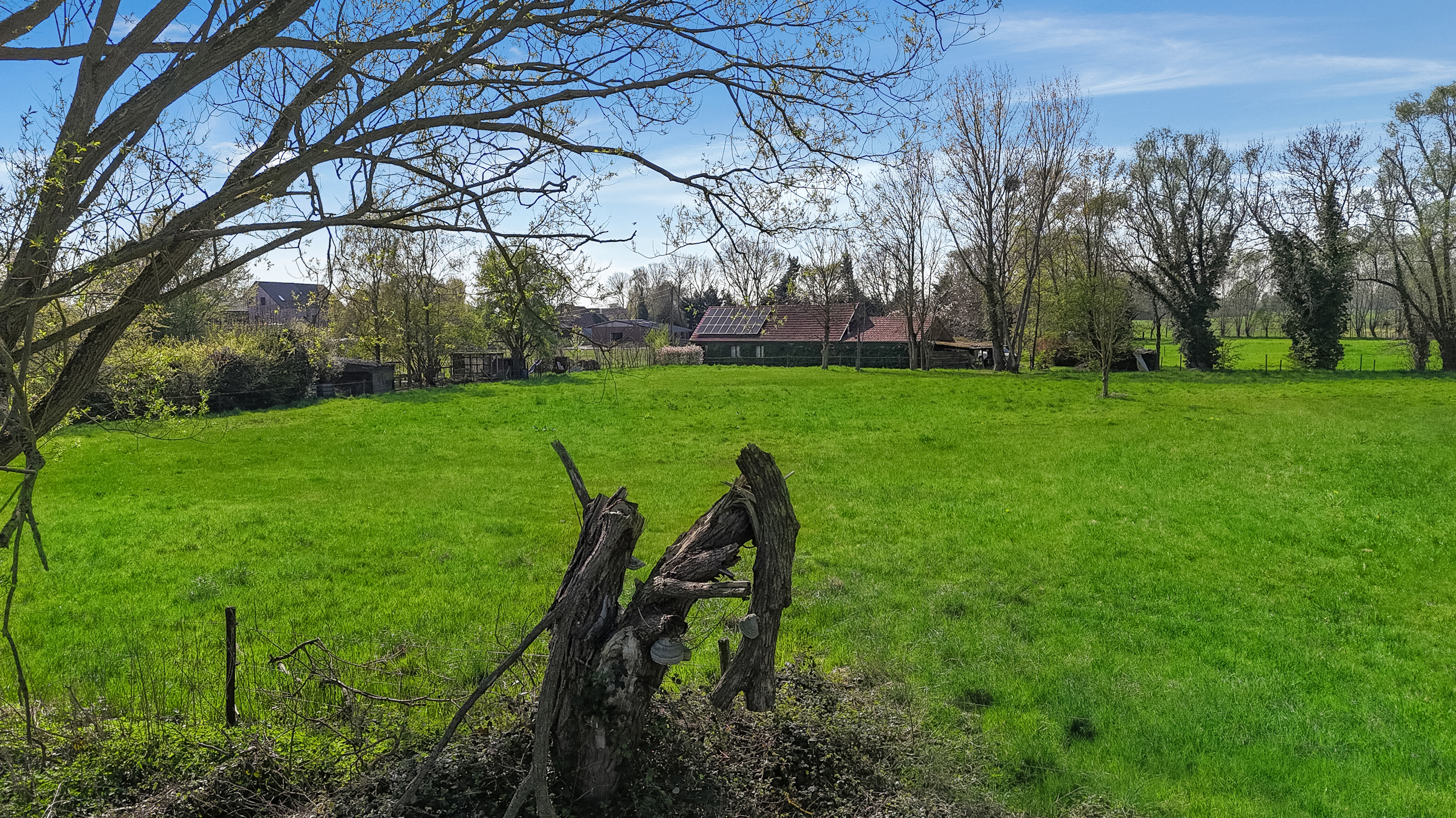 Landelijk gelegen landbouwgrond van 9.807m² vrij van pacht. - foto 4