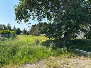 Land for sale in Balen