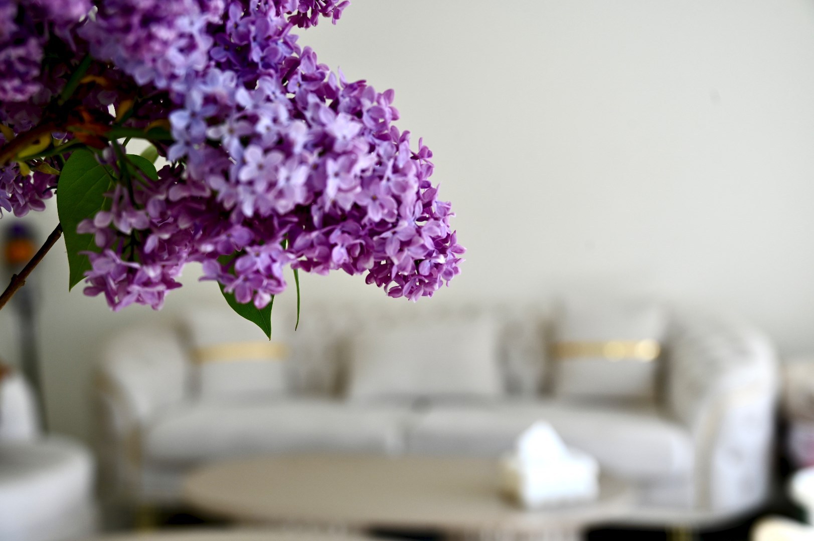 House for sale in Ostend with 2 bedrooms - photo 3