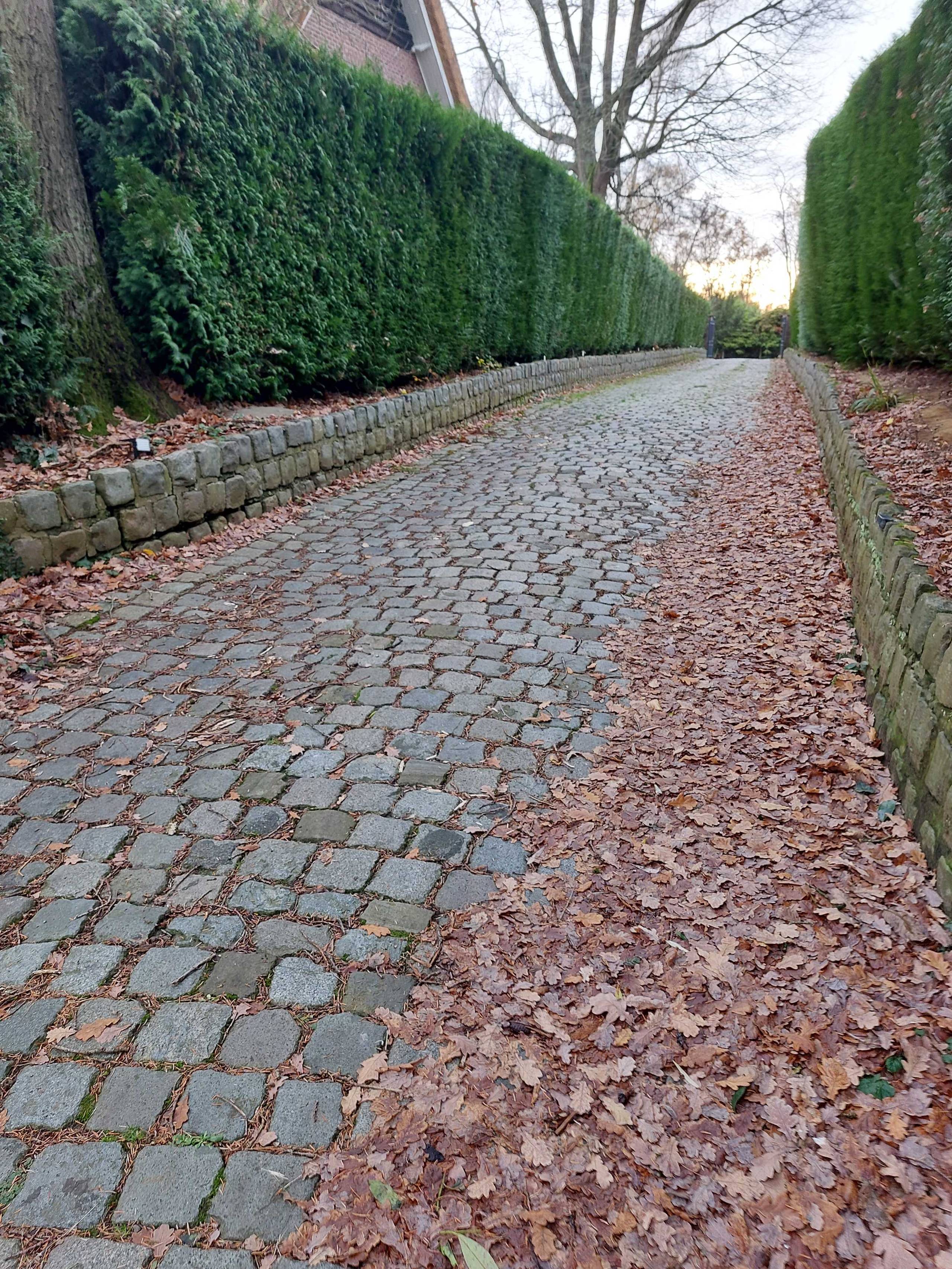 Grond te koop in Kessel-Lo - foto 2