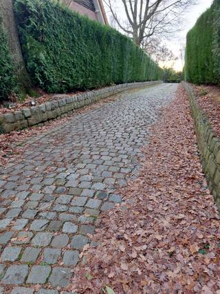 Het bouwperceel is gelegen in Kessel-Lo op een hoogte, achterin van de openbare weg met een inrit. De totale oppervlakte bedraagt 1596 m² (16...