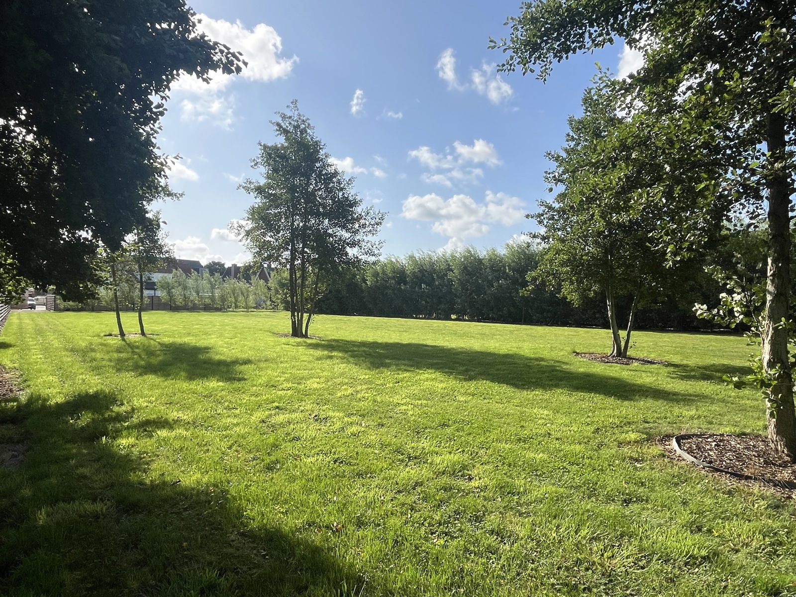 Uitzonderlijk perceel bouwgrond met volledige privacy - foto 5
