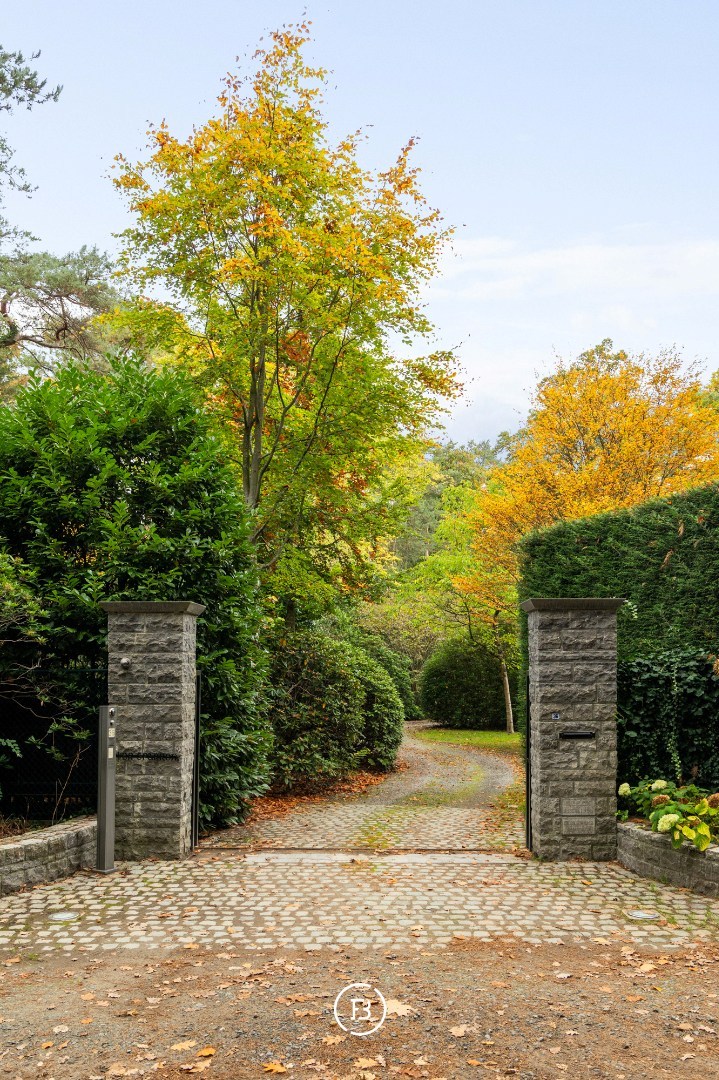 Idyllische Villa - foto 3