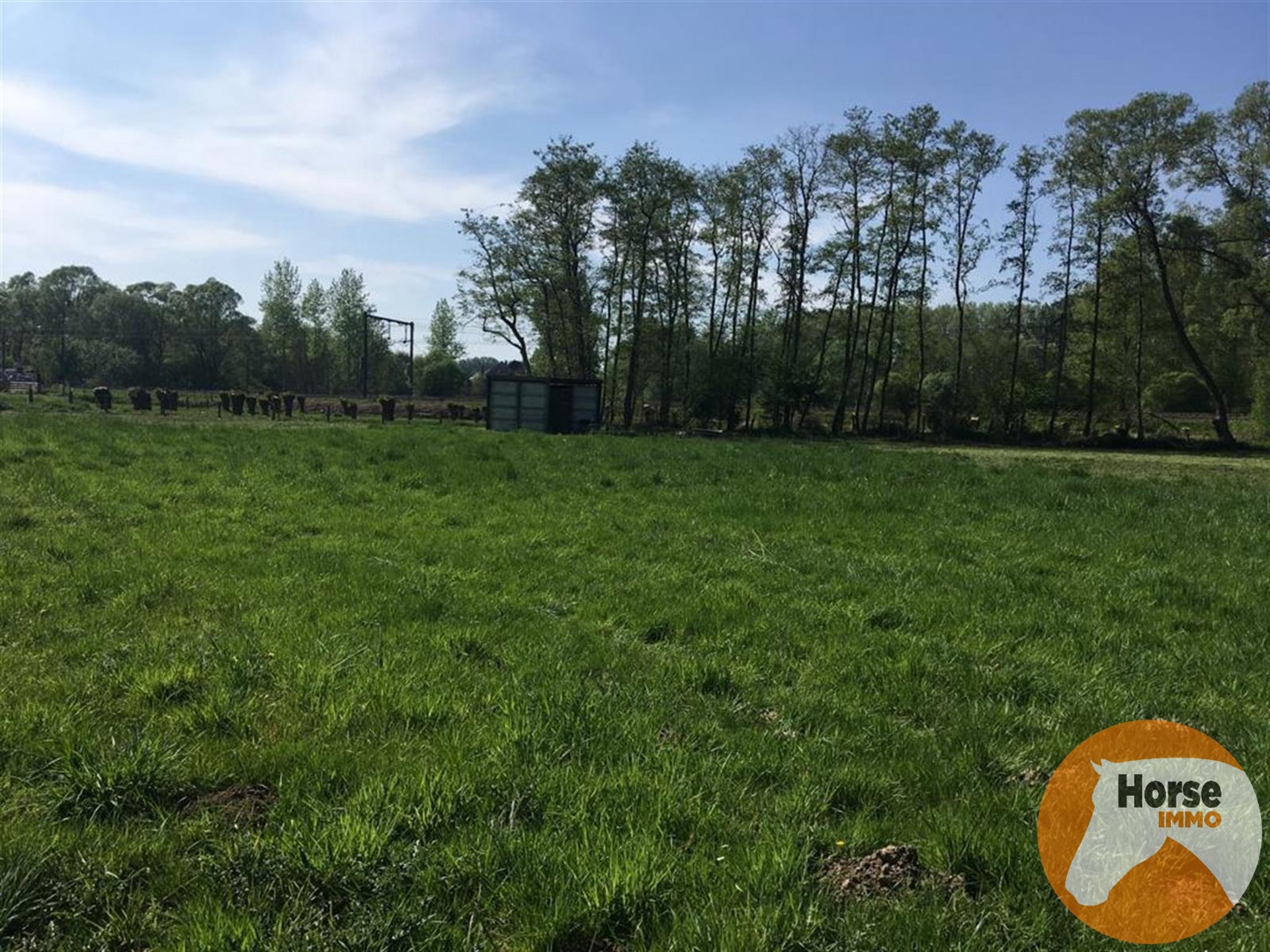 DENDERLEEUW - Weide van 1,6 HA. - foto 2