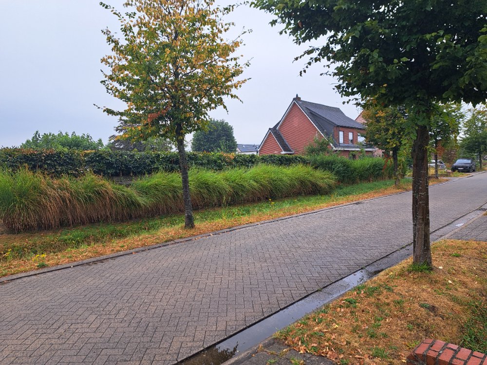 Maison à louer à Oostmalle avec 4 chambres - photo 4