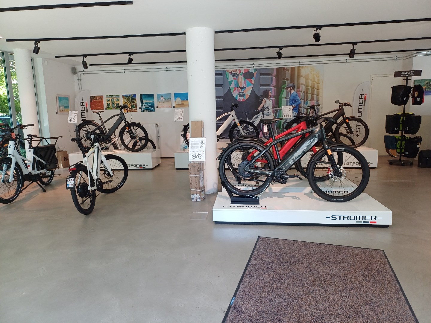 Commercial for rent in Brasschaat - photo 3