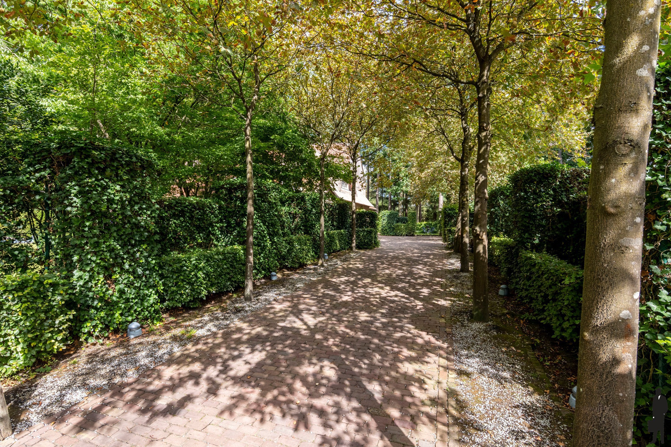 Maison à vendre à Oud-Turnhout avec 5 chambres - photo 3