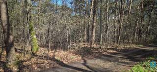 Land for sale in Retie