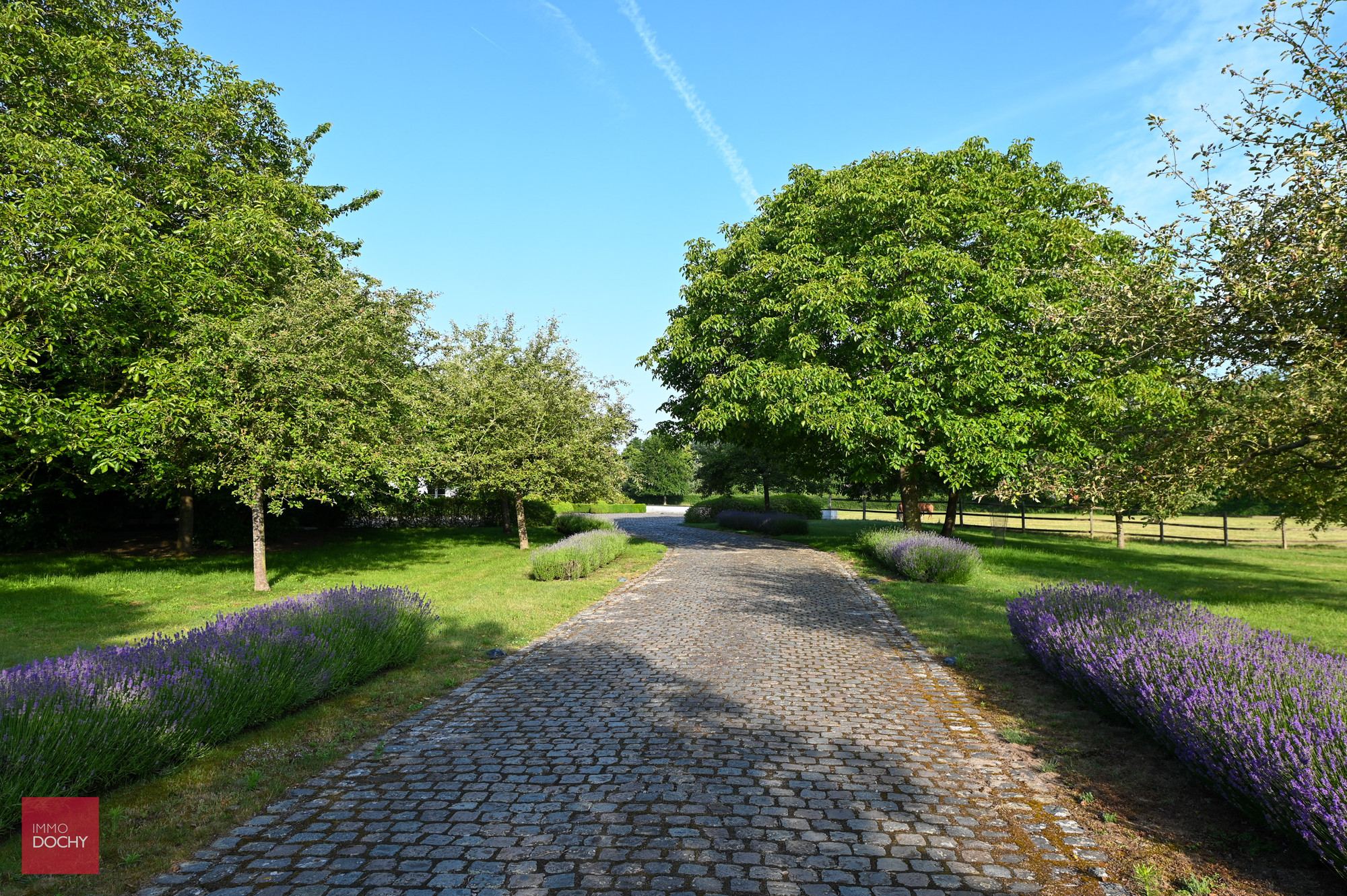 Ruim en rustig gelegen luxueus landhuis - foto 5