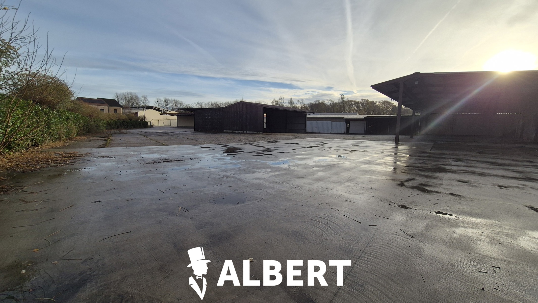 Unit 3 : gesloten loods met burelen - foto 2