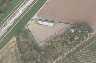 Terrain à vendre à Hoegaarden