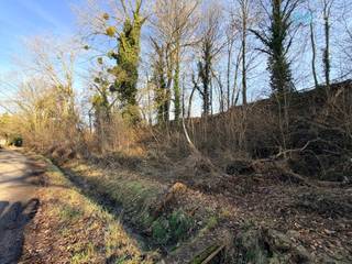 Dans une petite rue sans issue, à l’abri de toute circulation et de toute nuisance, ce terrain situé sur la commune d’Incourt offre un cadre de...