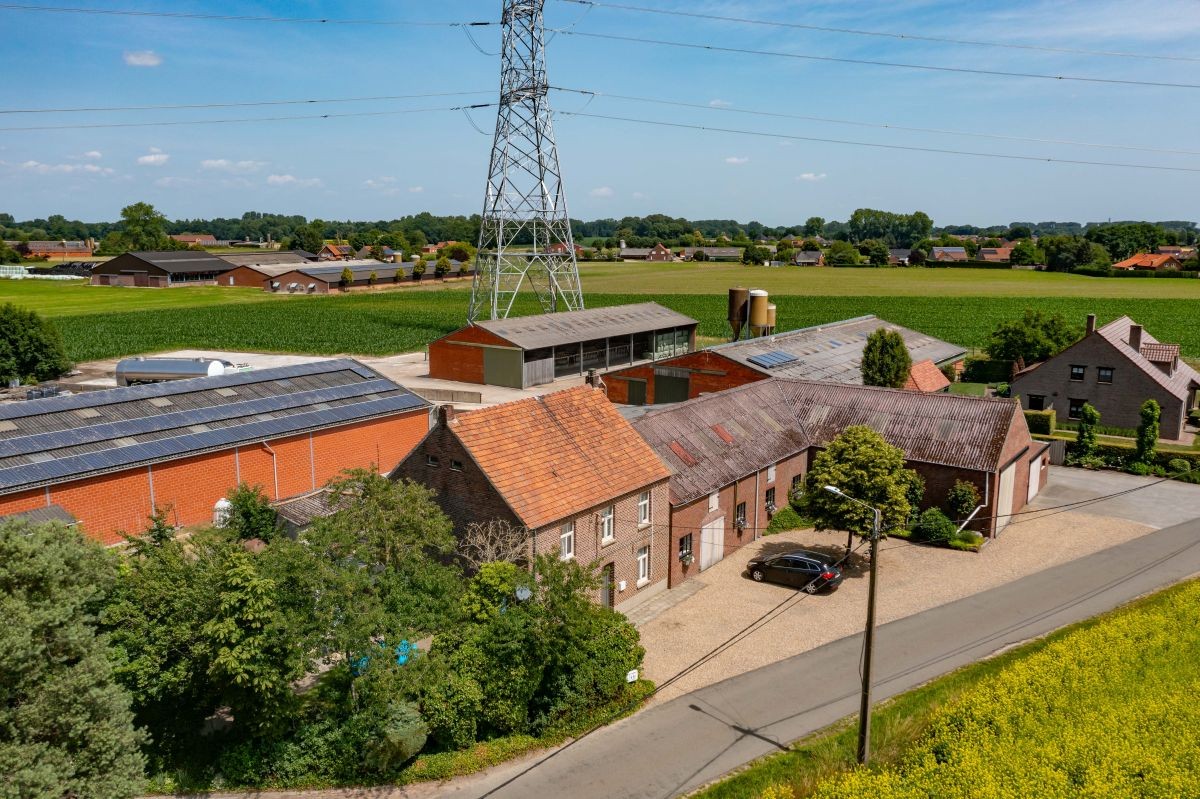 Hoeve met gronden te koop te Kinrooi - photo 4