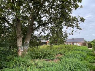 In doodlopende straat rustig gelegen zuidelijk georiënteerde bouwgrond van 4a 94ca geschikt voor het oprichten van een open bebouwing. Info/plaatsbezoek 0473/245102 of info@vandenvonder-decat.be.