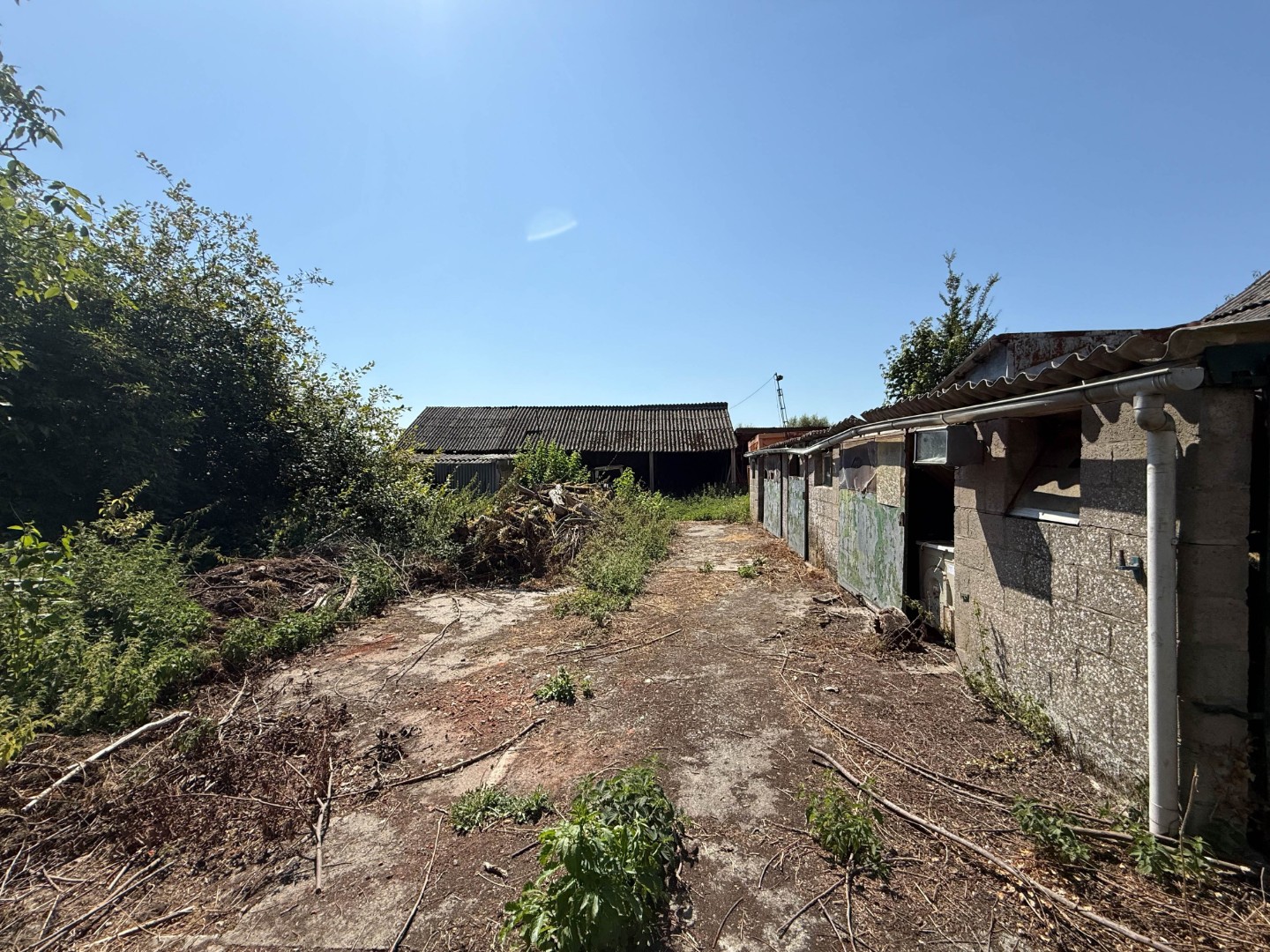 Te koop, totaal te renoveren / te slopen hoeve met uitweg achteraan op 1,5 hectare te Bever - photo 3