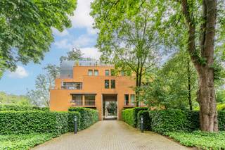 <p>Ruim en lichtrijk appartement van 182 m² op een groene toplocatie in het centrum van Beerse</p>
<p>Op zoek naar een uitzonderlijk ruim appartement met alle comfort en een centrale ligging? Dit verzorgde appartement van maar liefst 182 m² bevindt zich op een prachtig groen domein in het hart van Beerse en combineert ruimte, licht en wooncomfort op een unieke manier.</p>
<p>Bij het binnenkomen valt meteen de royale indeling op. De brede leefruimte met grote raampartijen geniet van een overvloed aan natuurlijk licht en biedt een aangename woonbeleving met zicht op het groene karakter van de omgeving. Dankzij de ruime opzet zijn er tal van mogelijkheden om gezellige zit- en eetruimtes te creëren.</p>
<p>De keuken werd reeds vernieuwd en is praktisch ingericht, waardoor u meteen kunt genieten van hedendaags comfort. Verder beschikt het appartement over verschillende ruime vertrekken die flexibel kunnen worden ingevuld volgens uw woonwensen.</p>
<p>Het gebouw is uitgerust met een lift. Bovendien zijn een garagebox en een kelderberging inbegrepen in de prijs.</p>
<p>Troeven op een rij:</p>
<ul>
<li>Zeer ruim appartement van 182 m²</li>
<li>Gelegen op een groen domein in het centrum van Beerse</li>
<li>Lichtrijke leefruimte met grote raampartijen</li>
<li>Vernieuwde keuken</li>
<li>Lift aanwezig in het gebouw</li>
<li>Garagebox inbegrepen</li>
<li>Kelderberging inbegrepen</li>
<li>Centrale ligging nabij winkels, horeca en openbaar vervoer</li>
</ul>
<p>Een ideale opportuniteit voor wie op zoek is naar royaal wonen op een rustige, groene locatie, zonder in te boeten aan bereikbaarheid en voorzieningen. Een bezoek zal u ongetwijfeld overtuigen.</p>
<p><br /><br /><br /></p>