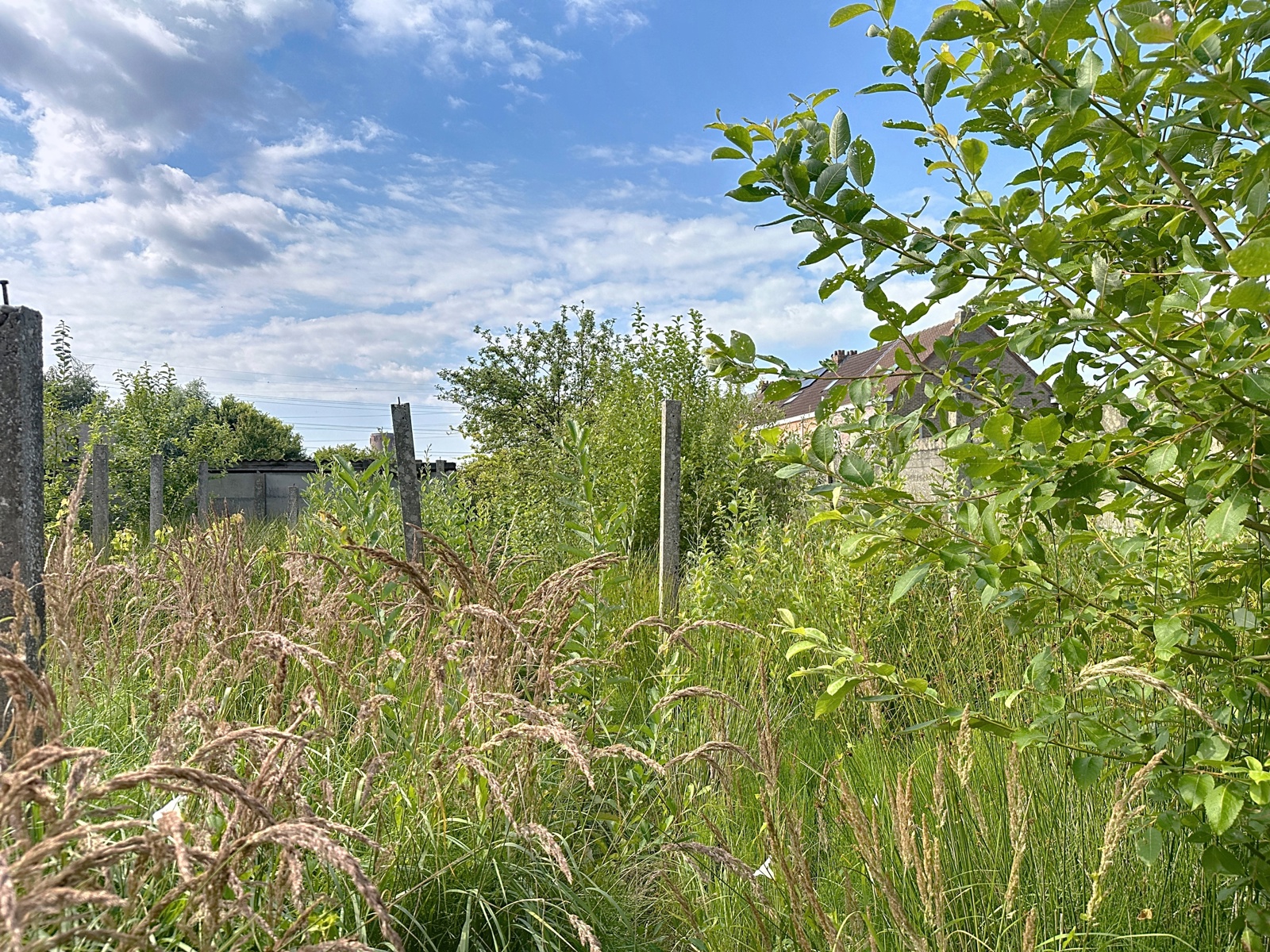 House for sale in Schelle with 4 bedrooms - photo 5