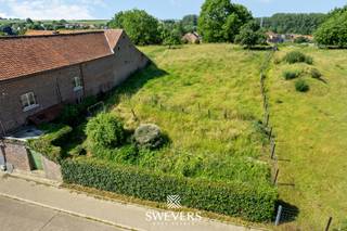 Voor meer info en foto’s, surf naar www.swevers.be – Ontdek deze ruime bouwgrond in de<br />Lauwstraat te Tongeren-Borgloon, een interessante kans voor wie een vrijstaande woning wil<br />realiseren op een royaal perceel. Met een oppervlakte van 12a 98ca, een breedte van 16,34 meter en een diepte van 77,56 meter biedt deze grond tal van mogelijkheden voor het bouwen van een open bebouwing, onder voorbehoud van het verkrijgen van de nodige vergunningen.<br /><br />Een belangrijke troef is de zuidwestelijke oriëntatie, waardoor u volop geniet van natuurlijk licht en zonnige namiddagen en avonden in uw toekomstige tuin. De ruime perceelindeling laat toe een woning te ontwerpen met veel leefruimte, een aangename buitenomgeving en de nodige privacy.<br />De verkavelingsvergunning is momenteel nog in behandeling. Meer informatie hierover is beschikbaar op aanvraag. Ook de ligging scoort uitstekend dankzij de combinatie van rust en bereikbaarheid. Scholen en winkels bevinden zich op slechts 700 meter. Restaurants liggen op 350 meter, een bushalte op 250 meter en het treinstation op 4,8 kilometer. De snelweg bereikt u op 8,5 kilometer, wat zorgt voor een vlotte verbinding naar omliggende steden. Voor recreatie en ontspanning bevinden diverse voorzieningen zich op 4,5 kilometer afstand. Daarnaast ligt het Provinciaal Domein De Kevie op slechts 3,5 kilometer, ideaal voor wandelingen, fietstochten en genieten van het groen. Een perceel met mooie afmetingen, een gunstige oriëntatie en veel toekomstpotentieel op een aantrekkelijke locatie in Tongeren-Borgloon. Voor meer informatie, bel 012 699 900.