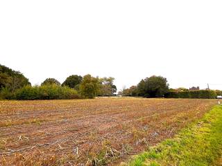 Ter hoogte van Goorakker 19 in Geel vinden we dit ruime perceel bouwgrond terug. Dankzij deze gunstige ligging zijn zowel de omliggende gemeenten...