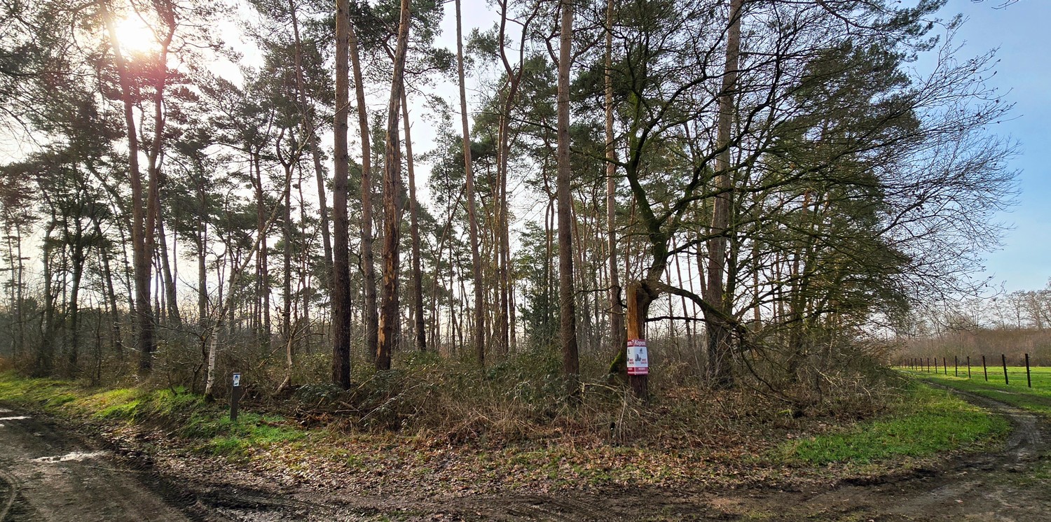 Grond te koop in Lummen - foto 2