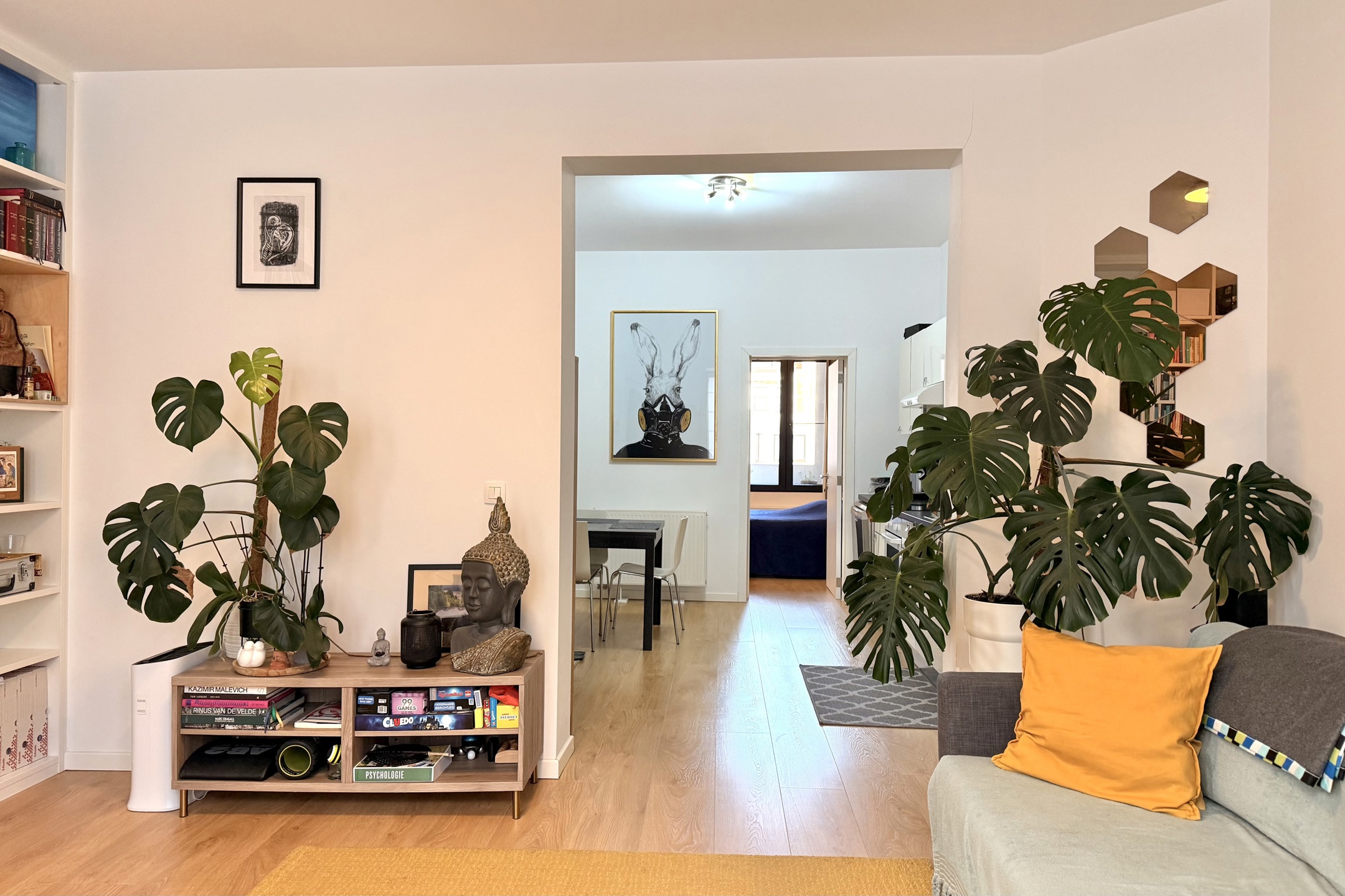 Apartment for rent in Borgerhout with 1 bedroom - photo 3