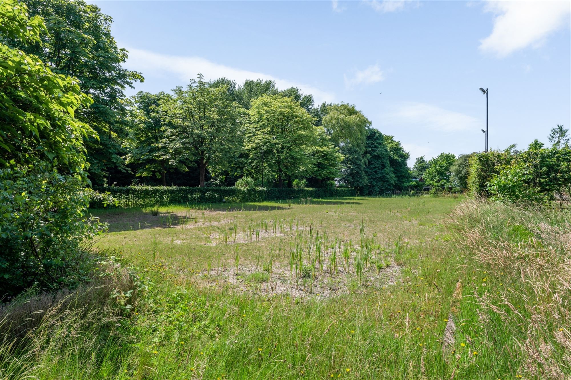 Centrally located equestrian accommodation - photo 5
