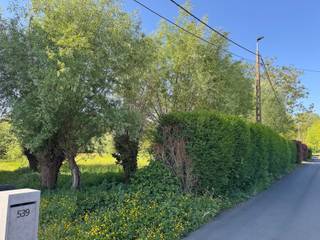 Deze knappe bouwgrond met een oppervlakte van 481 m2( LOT 1) is gelegen aan de Moorselbaan tussen nummer 529 en nummer 539 en is geschikt voor...