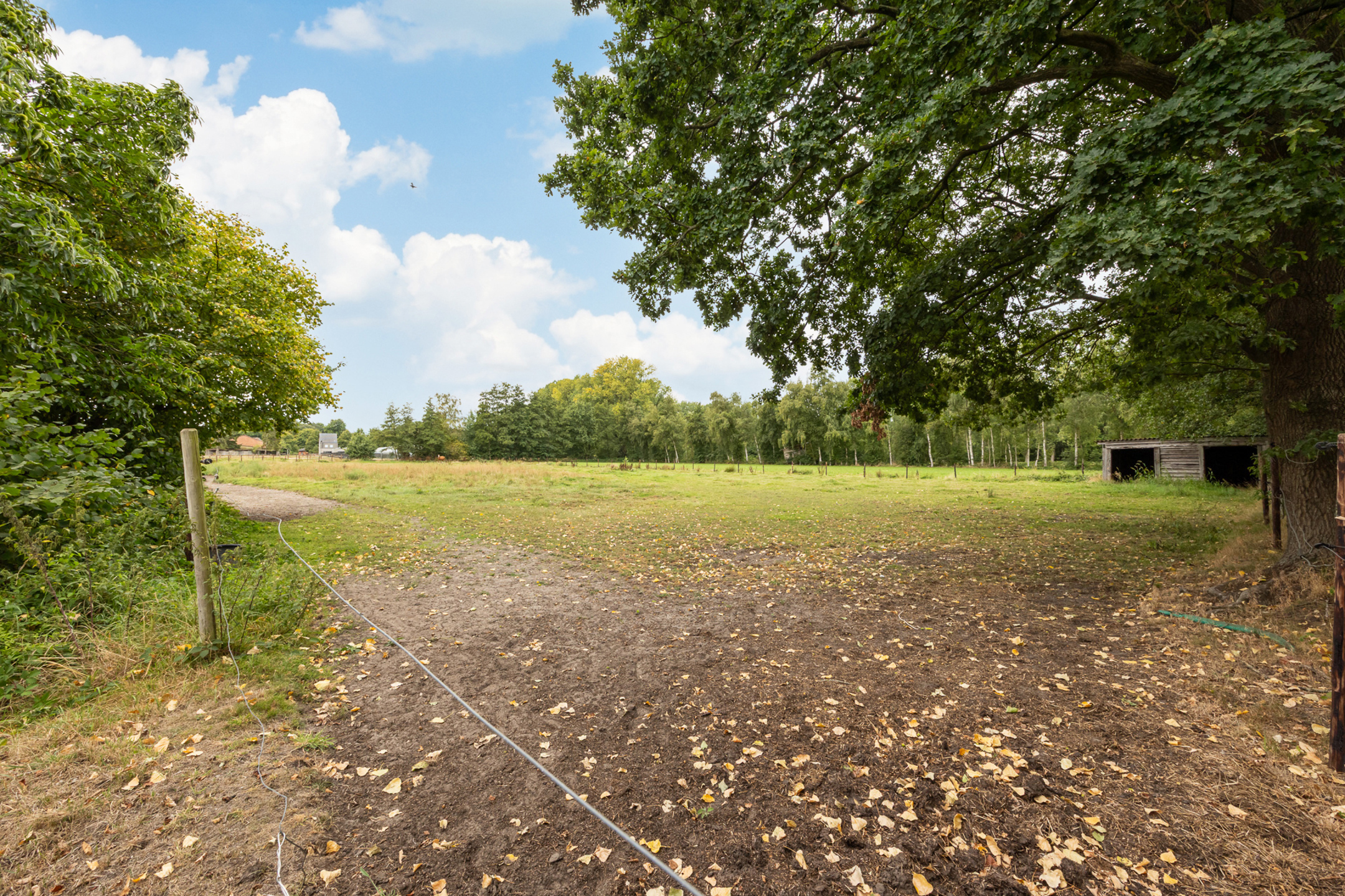 House for sale in Arendonk with 3 bedrooms - photo 5