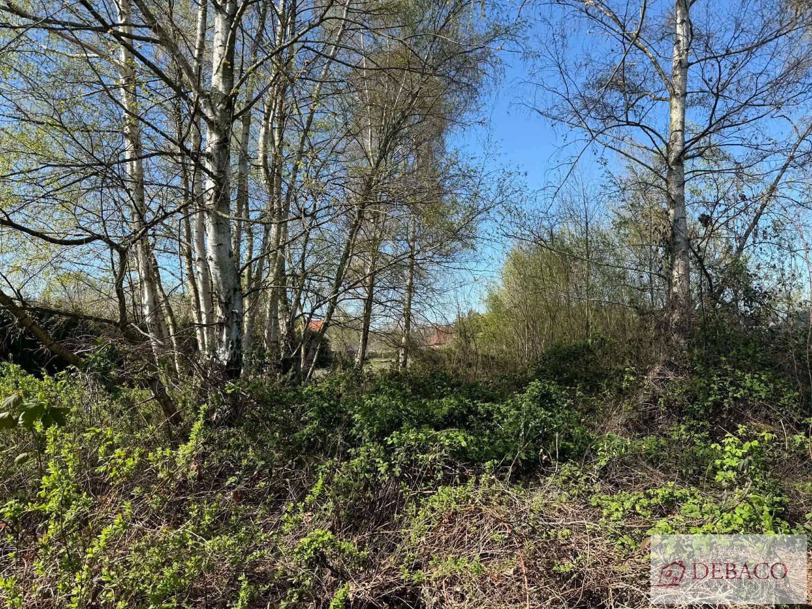 Terrain à vendre à Heist-op-den-Berg - photo 4