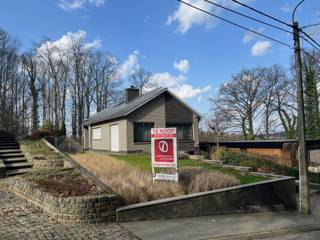 Perfect onderhouden woning met prachtige tuin, zolder, volledig onderkelderd en grote garage.Op de gelijkvloerse verdieping bevinden zich: de...