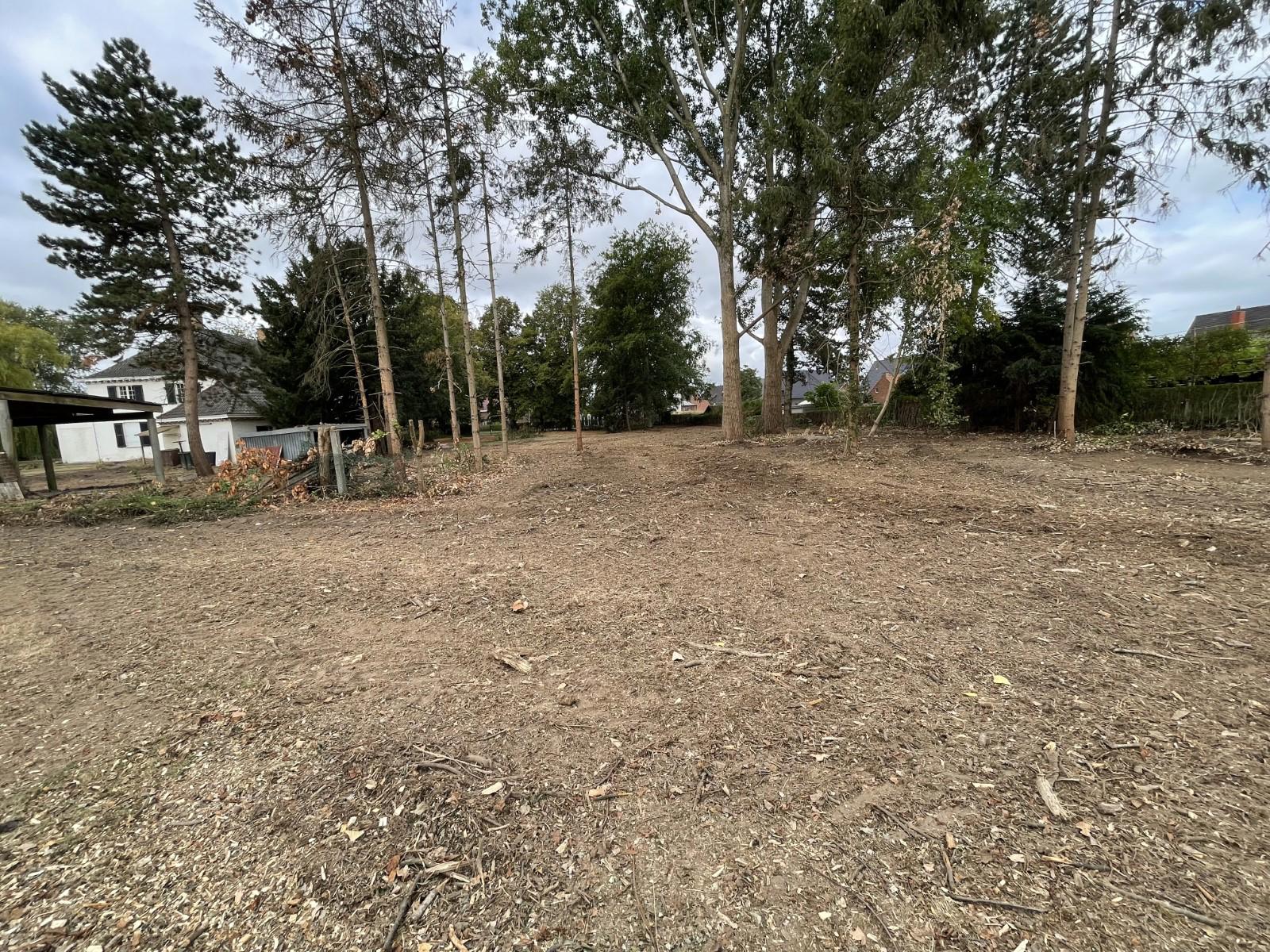 Projet à vendre à Audenarde - photo 5