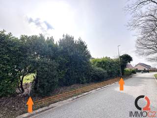 Terrain à vendre à Tessenderlo-Ham