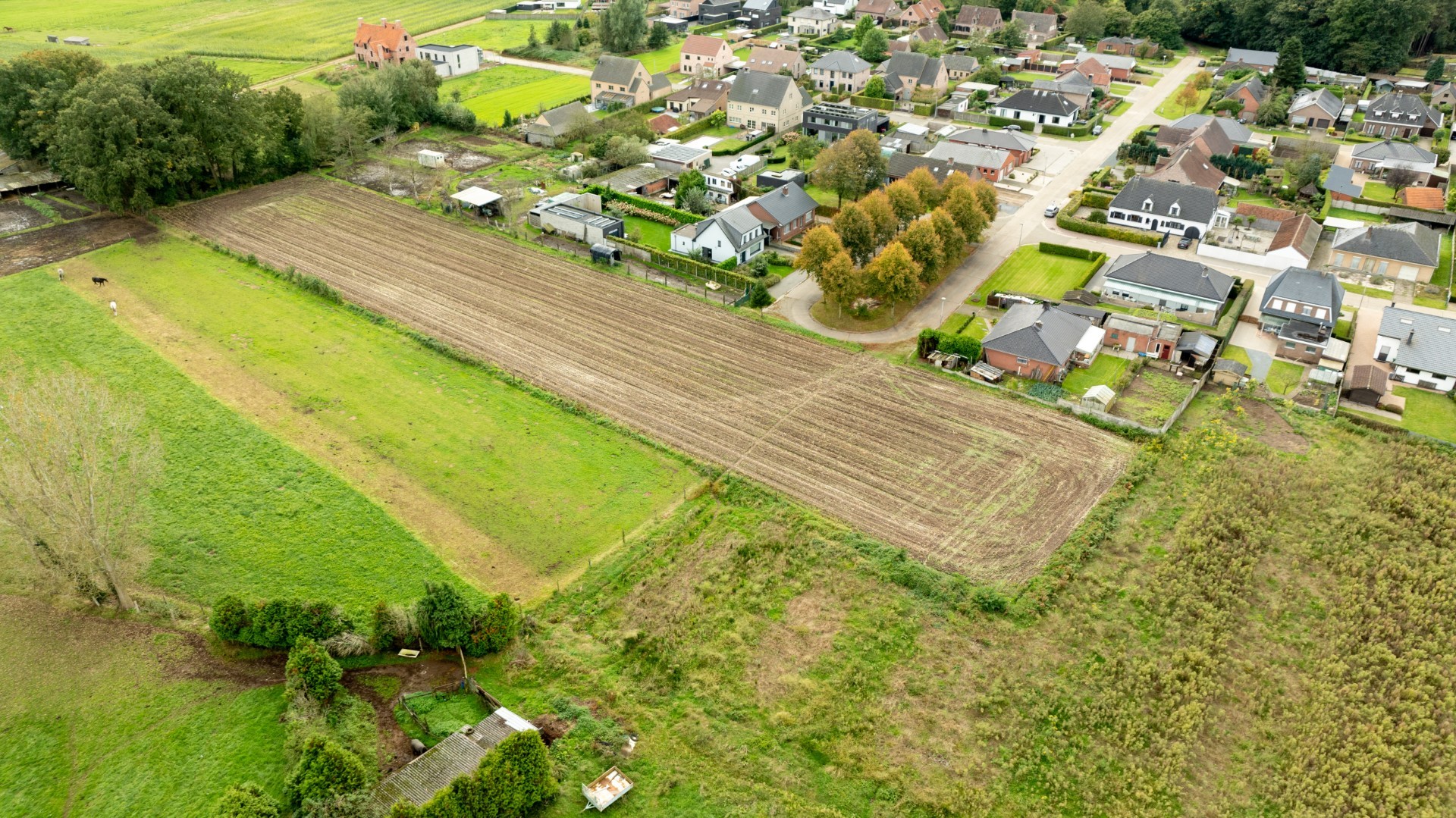 Project for sale in Lille - photo 4