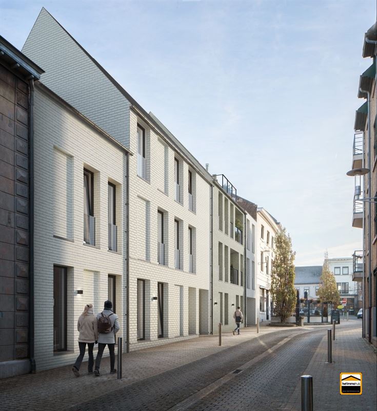 Project for sale in Tongeren-Borgloon - photo 2