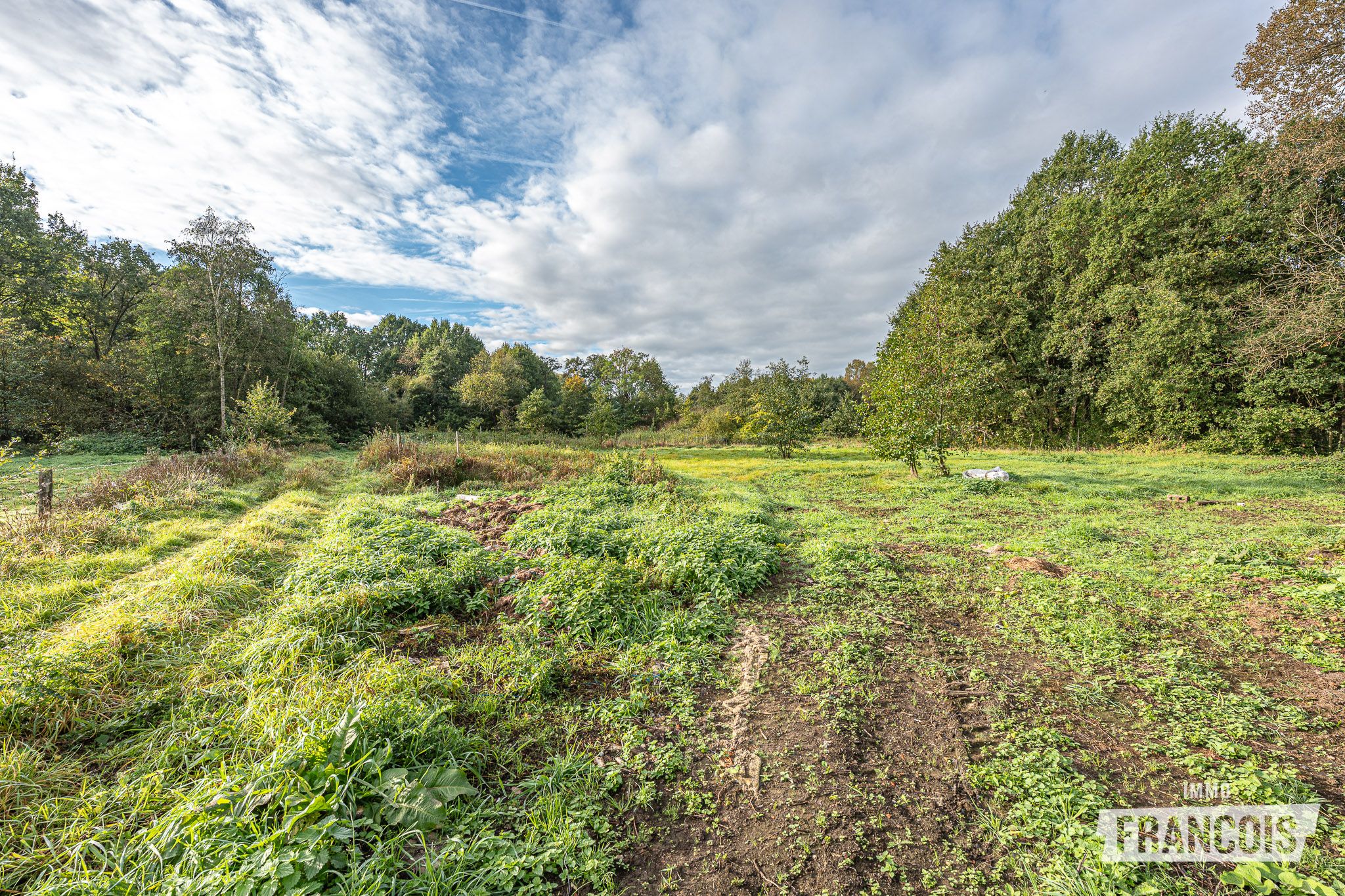 Grond Te Koop in Tremelo - foto 5