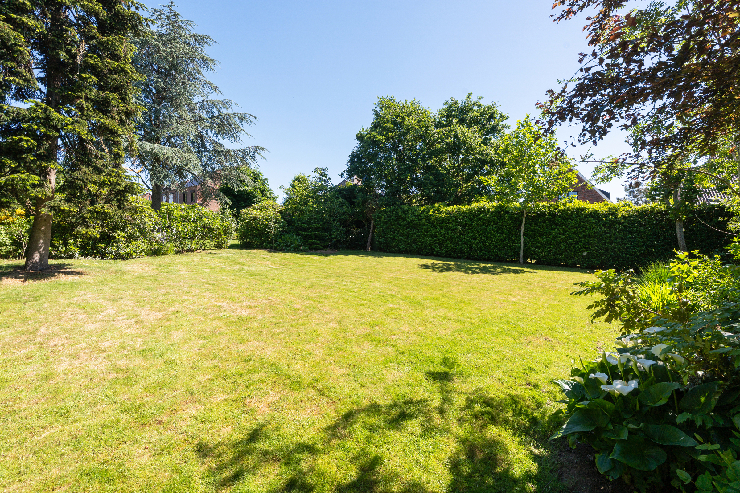 Open bebouwing met grote tuin en 3 slaapkamers in Temse - foto 5