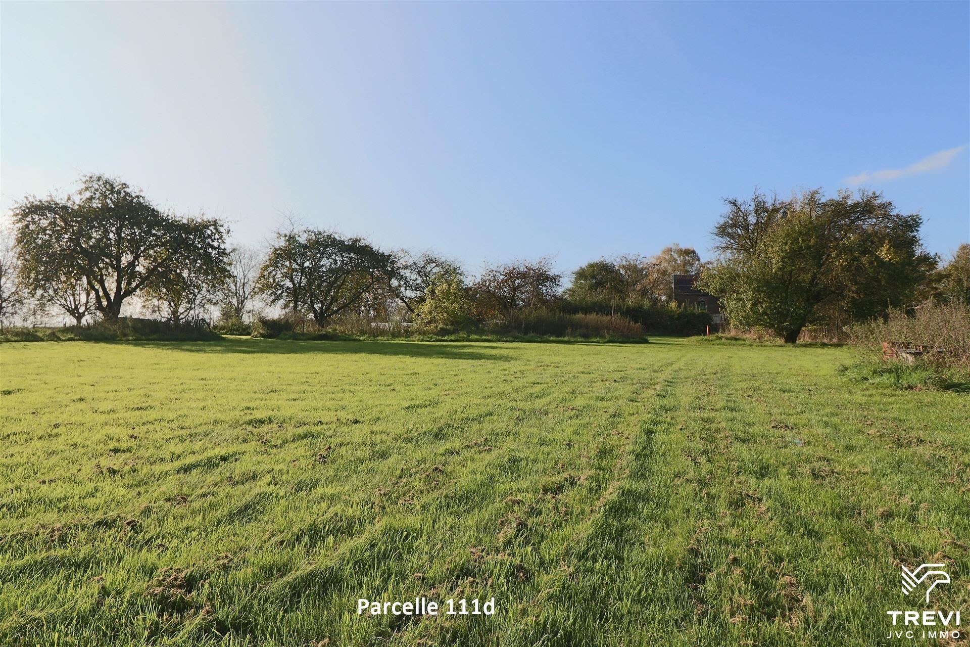 Grond te koop in Orp-Le-Grand - foto 2