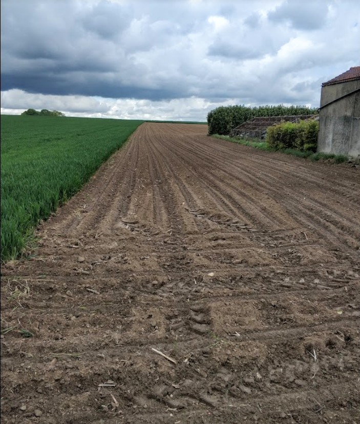 Vrije landbouwgrond te koop in Zaventem - foto 2