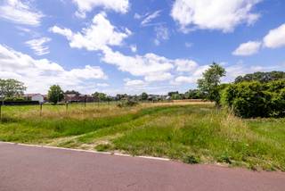 Land for sale in Westerlo