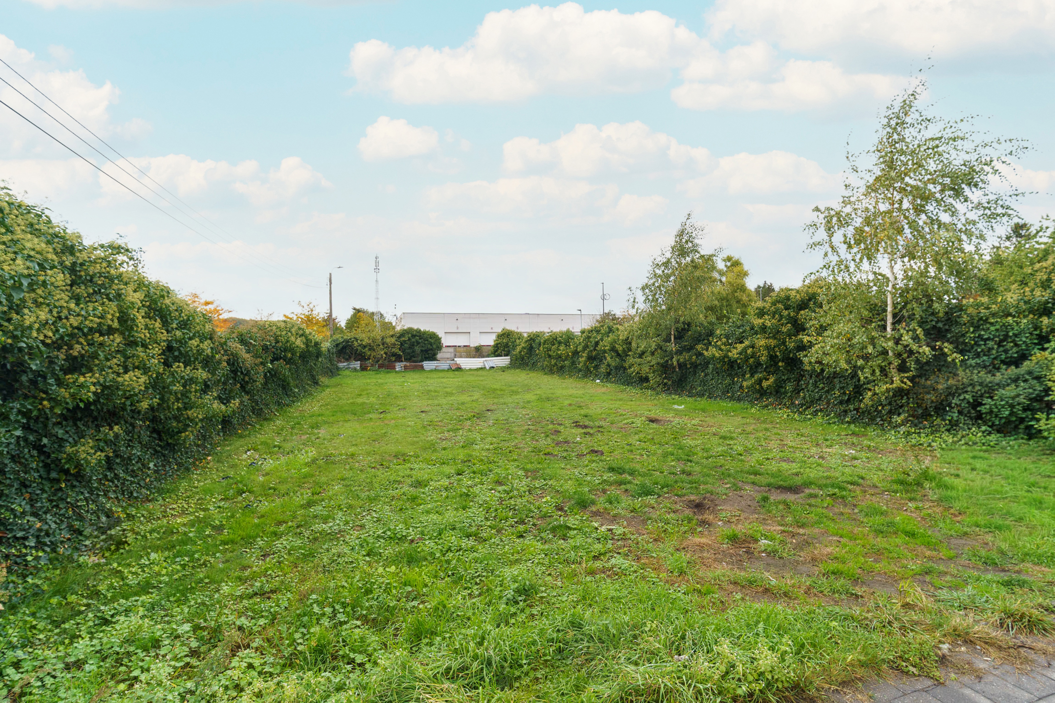 Maison à vendre à Heist-Op-Den-Berg avec 3 chambres - photo 3