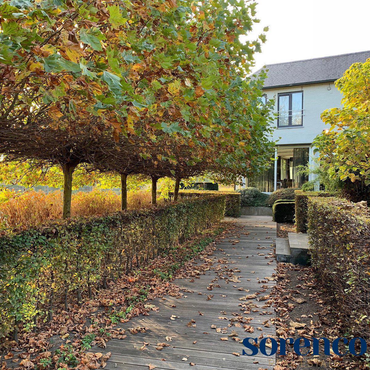 Hotelcomplex, restaurant en twee feestzalen te Mechelen  - foto 3