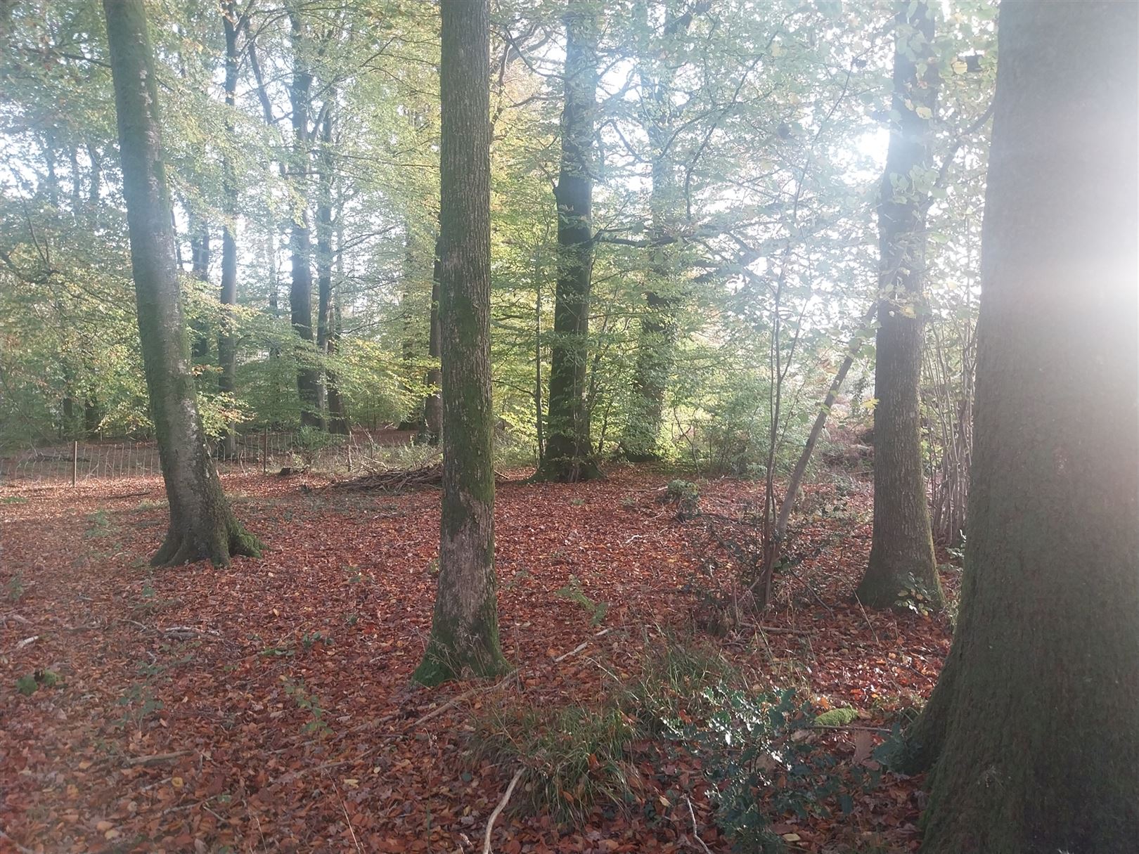 Terrain à vendre à Cul-Des-Sarts - photo 5