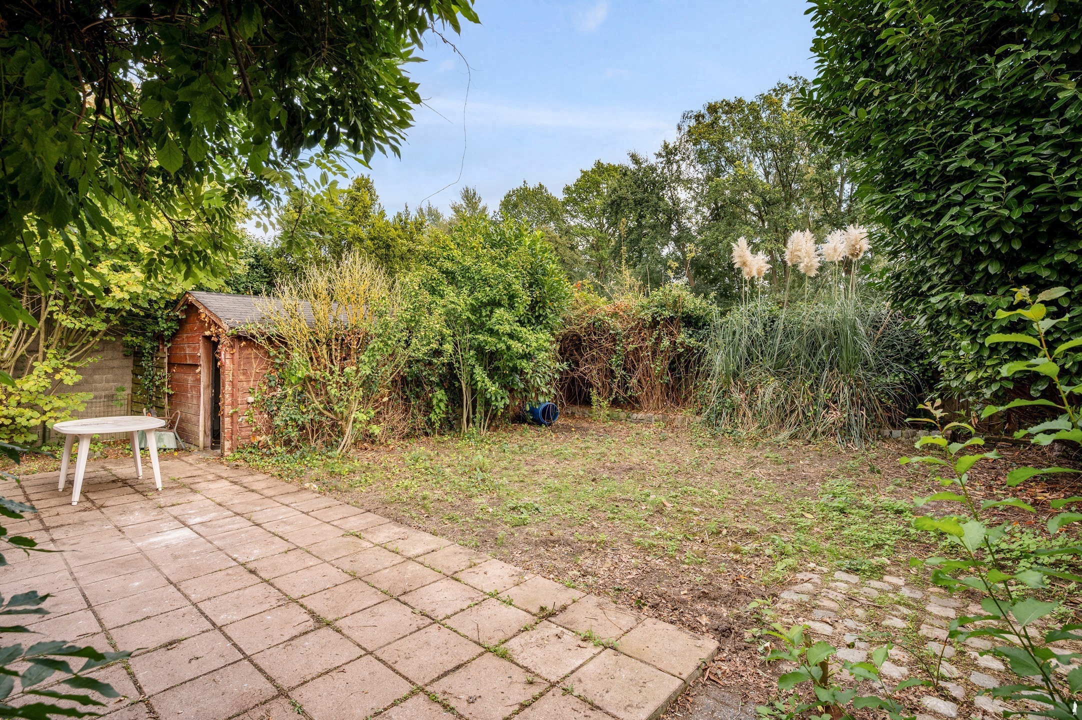 Op een bijzondere locatie aan de Schotense Vaart, een woning met veel potentieel! - foto 4