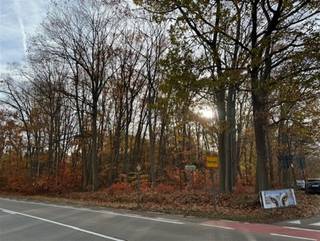 TE KOOP : PERCEEL BOSGROND te Herselt Deze 2 percelen bosgrond, naast elkaar liggend aan de Provinciebaan te Herselt zijn zeer goed bereikbaar...
