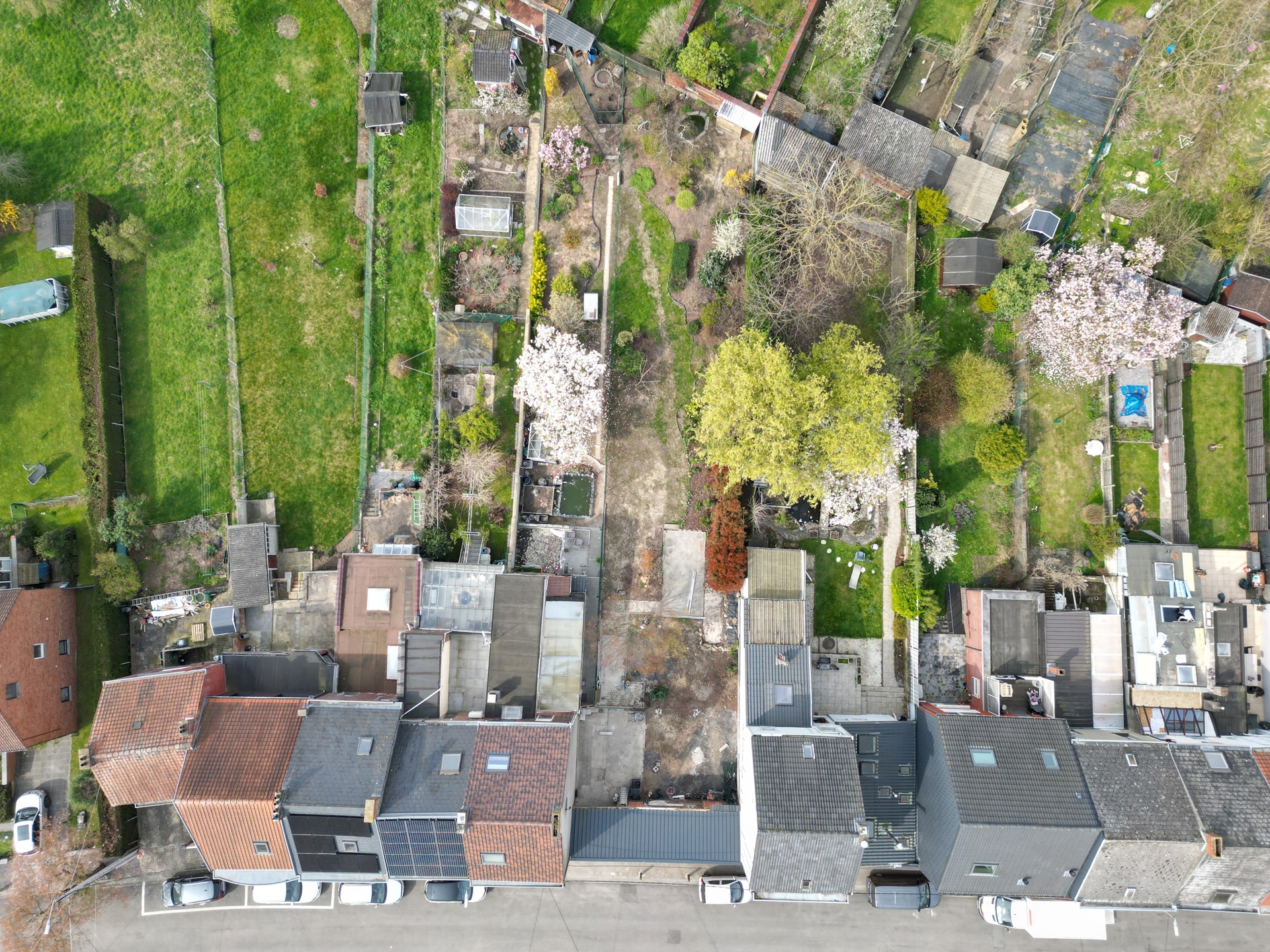 Terrain à vendre à Braine-Le-Comte - photo 3
