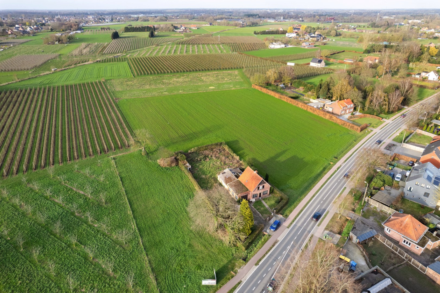 TE RENOVEREN WONING OMGEVEN DOOR AGRARISCH GEBIED! - foto 3