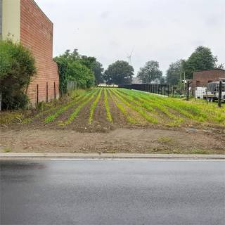 In de Kapelstraat te Dilsen-Stokkem vinden we deze goed gelegen en ruime bouwgrond.Het perceel heeft een oppervlakte van 2132m² en is bestemd voor...