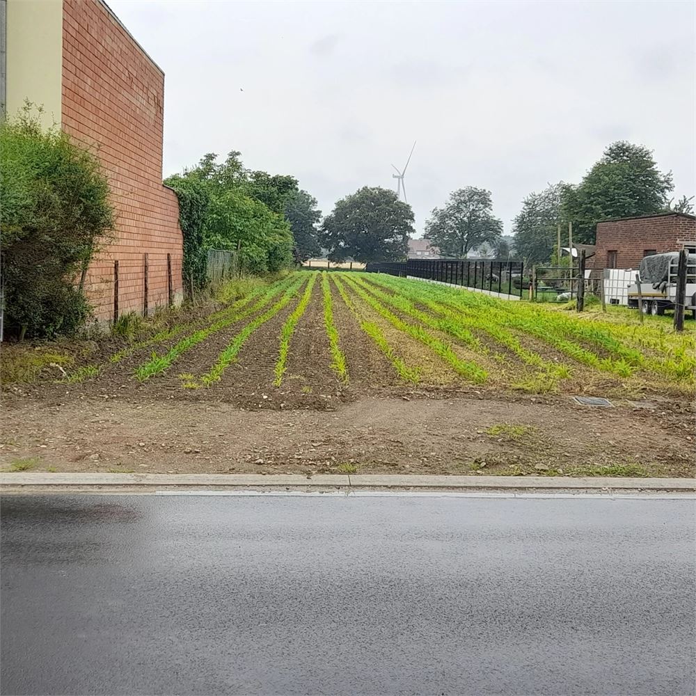 Terrain à vendre à Dilsen-Stokkem - photo 3